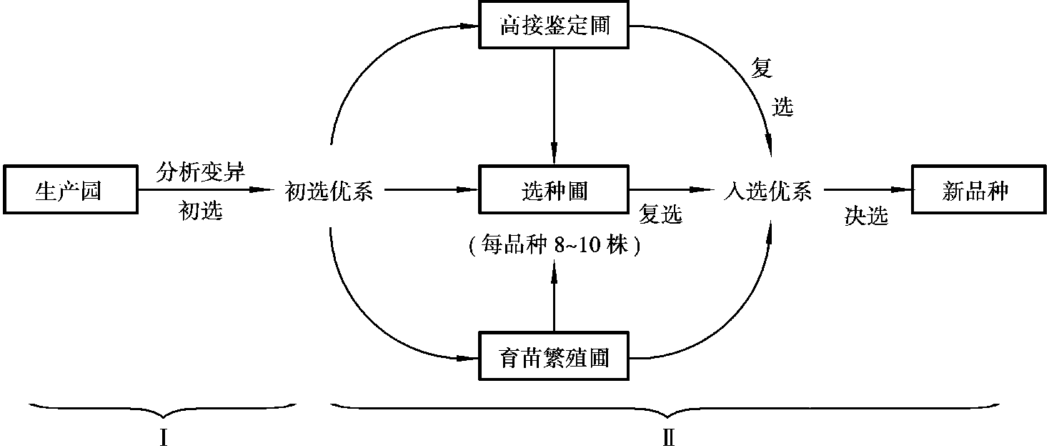 10.2 選擇育種的主要方法